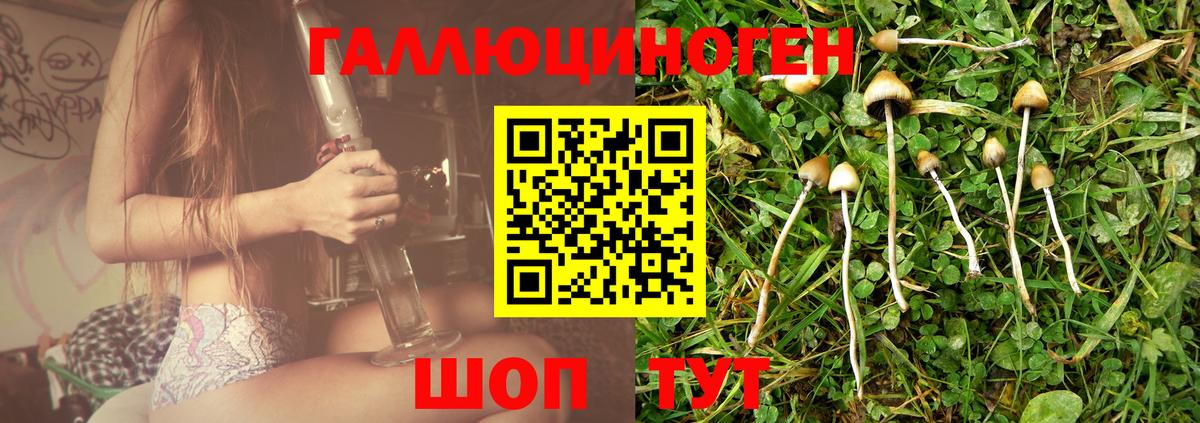Галлюциногенные грибы мицелий  Вход с VPN  Алатырь 